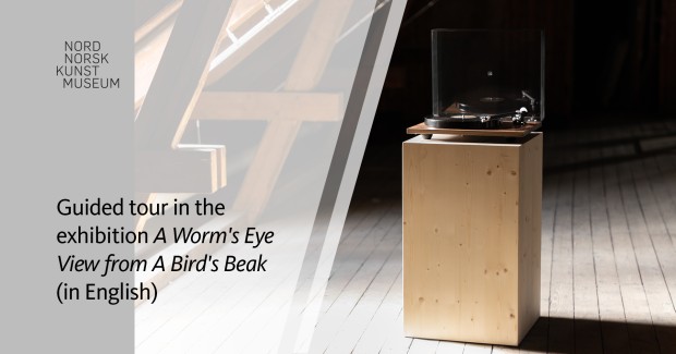 Guided tour in the exhibition "A Worm's Eye View from A Bird's Beak" (in English)